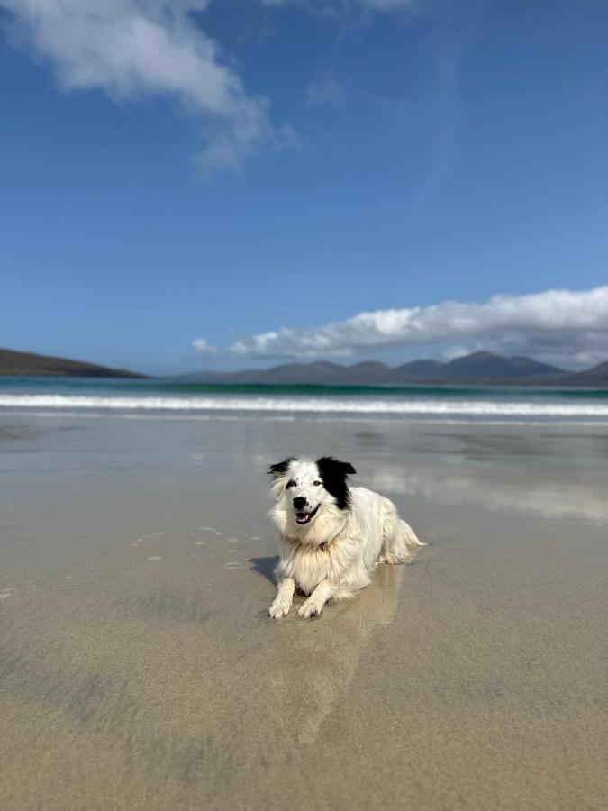 Kinnoull House Near Stornoway Hot-Tub Sauna Pet Friendly Garrabost Zewnętrze zdjęcie